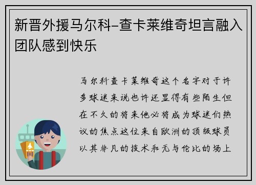新晋外援马尔科-查卡莱维奇坦言融入团队感到快乐